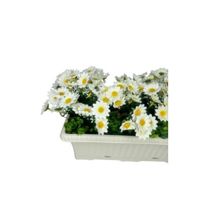 Yapay Çiçek Beyaz Papatya Küpeşte Askılı Saksıda Balkon Çiçeği Çiçek Sepeti