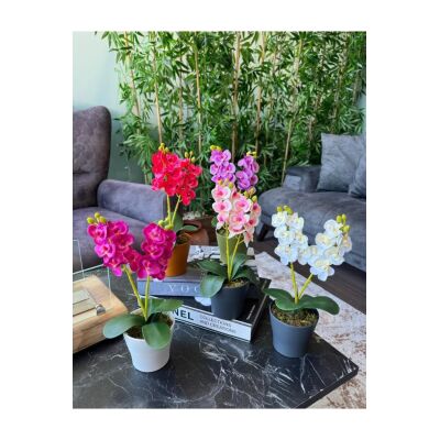 5Li Set Yapay Çiçek Orkide Renkli Saksıda Gerçekçi Doku Karışık Renkli 30Cm