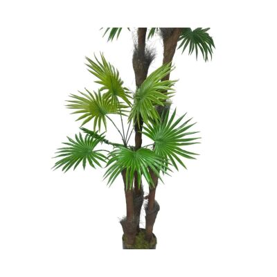 Kurutulmuş Palmiye Ağacı Kabuğu Lifi Natural Ağaç Gövdesi Kokos