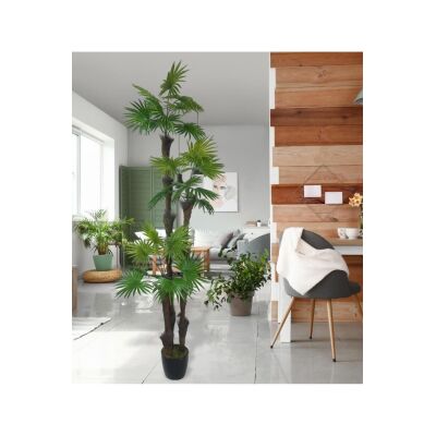 Yapay Ağaç Palmiye Fanpalm 3Katlı 24Yaprak Siyah Plastik Saksıda 165*65Cm