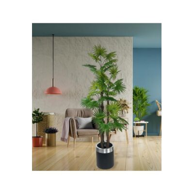 Yapay Ağaç Yelpaze Palmiye 4Katlı Fanpalm 32 Yaprak Gümüş Kemerli Siyah Saksıda 170*65Cm