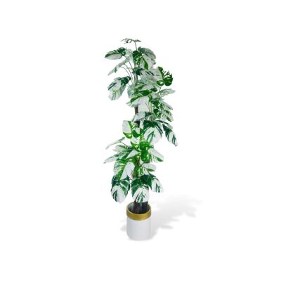 Yapay Çiçek Monstera Yeşil Beyaz Deve Tabanı 3Katlı 180Cm 54Yaprak Altın Kemerli Beyaz Metal Saksı