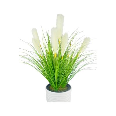 Yapay Çiçek Panpas Püskül Salon Bitkisi Beyaz Uzun Kumsal Vazoda 128*60Cm