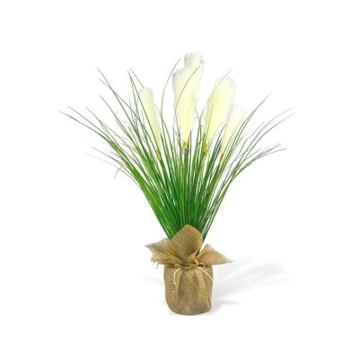 Yapay Çiçek Beyaz Püskül Grass Keten Saksılı Panpas 80*40Cm Saz