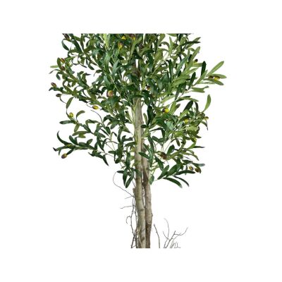 Yapay Zeytin Ağacı 190Cm Keten Sarılı Plastik Saksıda İki Gövdeli Doğal Görünümlü Yapay Ağaç