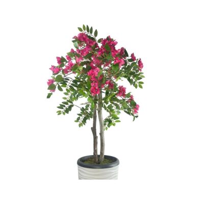 Yapay Ağaç Begonvil Ağacı Fuşya Bodrum Çiçeği Beyaz Kumsal Vazoda 150Cm