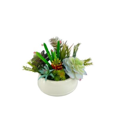 Yapay Çiçek Kaktüs Sukulent Aranjmanı Krem Renk Plastik Saksıda 10 Adet Karışık Model Skulent