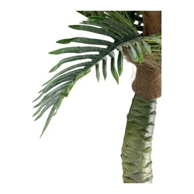 Yapay Ağaç Coco Palmiye Ağacı Beyaz Kumsal Vazoda 190*80 Cm