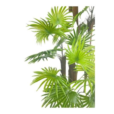Yapay Ağaç Yelpaze Palmiye 5Katlı Fanpalm 40 Yaprak 180*65Cm