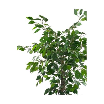 Yapay Ağaç Benjamin Yeşil Salex Dallı 110*70Cm Siyah Plastik Saksılı
