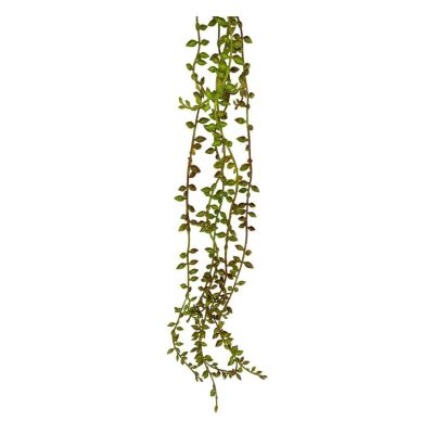 Yapay Çiçek Sarkan Kahverengi Detaylı String Okaliptus Skulent 70Cm 5Dal