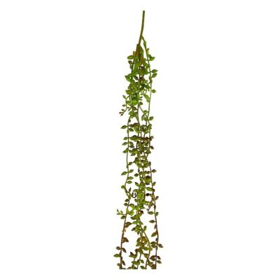 Yapay Çiçek Sarkan Kahverengi Detaylı String Okaliptus Skulent 70Cm 5Dal