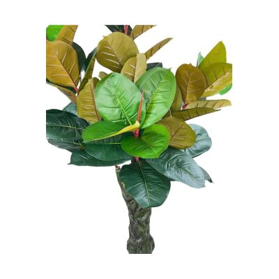 Yapay Ağaç Kauçuk Ağacı Ficus Elastica Salon Çiçeği 150*90 Doğal Gövdeli 61 Yaprak