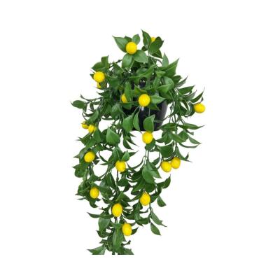 Yapay Çiçek Saksıda Sarkan Limon 60*20Cm