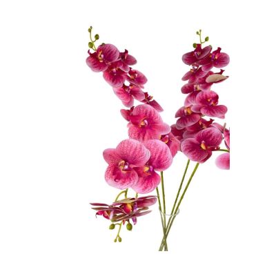 Yapay Çiçek Beyaz Islak Orkide Uzun Dal 90 Cm Orkide