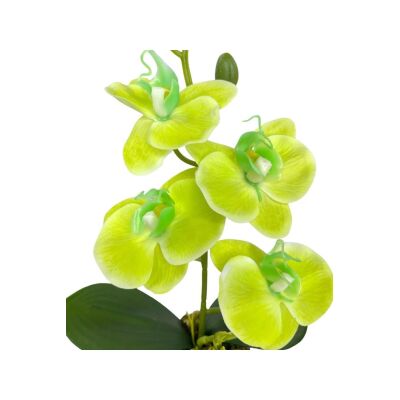 Yapay Çiçek Kütük Saksılı Islak Orkide Yeşil 35*15Cm