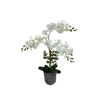 Yapay Çiçek 3Lü Beyaz Orkide Seramik Saksıda Orkide 60Cm