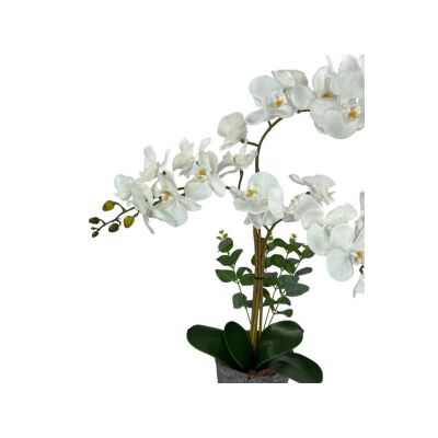 Yapay Çiçek 3Lü Beyaz Orkide Seramik Saksıda Orkide 60Cm