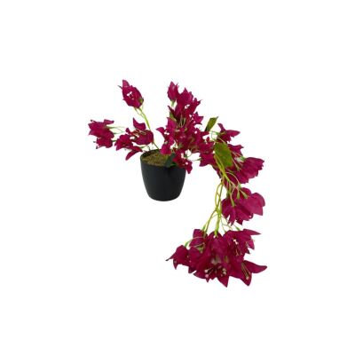 Yapay Çiçek Siyah Saksıda Sarkan Bodrum Begonvil Çiçeği Fuşya 40Cm