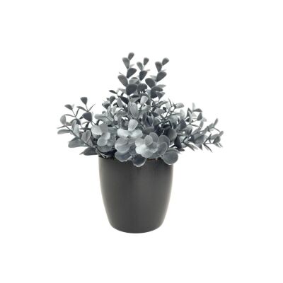 Yapay Çiçek Gümüş Renk Şimşir Siyah Saksıda Siyah Plastik Saksılı Dekoratif Süs Çiçeği