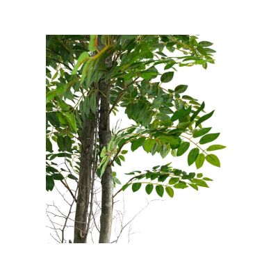 Yapay Ağaç Karaağaç 2Gövdeli Doğal Salex Dallar 180Cm Yoğun Yapraklı