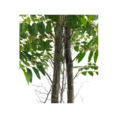 Yapay Ağaç Karaağaç 2Gövdeli Doğal Salex Dallar 180Cm Yoğun Yapraklı