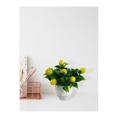 Yapay Çiçek Beyaz Saksıda Limon Dekoratif Masa Çiçeği 25Cm