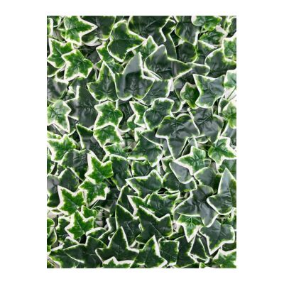 Yapay Çiçek Duvar Kaplama Panel Sarmaşık Hedera Tabaka 45X60 Cm Yeşilbeyaz Dik Duvar Uygulama
