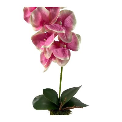 Yapay Çiçek Kütük Saksılı Tekdal Orkide Pembe 50*30Cm