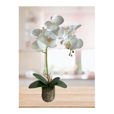 Yapay Çiçek Kütük Saksılı Tekdal Islak Orkide Beyaz 50*30Cm