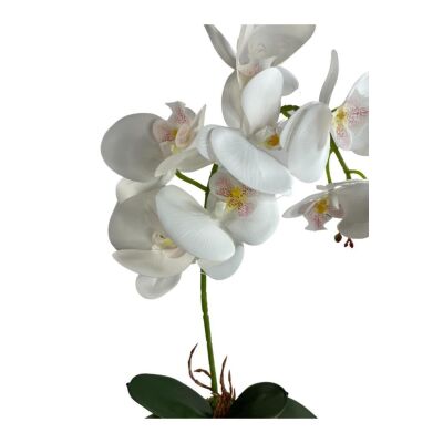 Yapay Çiçek Kütük Saksılı Tekdal Islak Orkide Beyaz 50*30Cm
