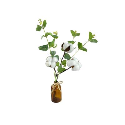 Şişede Okaliptuslu Doğal Pamuk Çiçeği 3 Pamuk Dalı Kuru Çiçek Yapay Çiçek