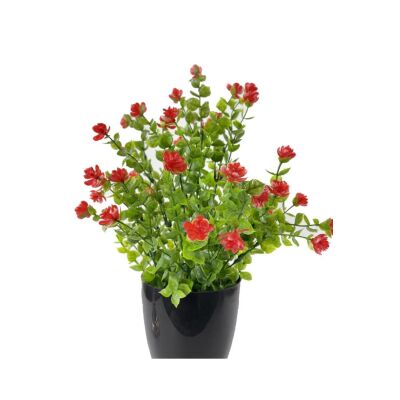 Yapay Çiçek Siyah Saksıda Kırmızı Mineli Şimşir Büyük Boy 33X25 Cm