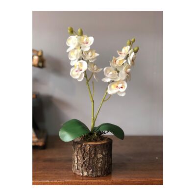 Yapay Çiçek 3 Adet Orkide Odun Saksılı Hediyelik Çiçek Gönder