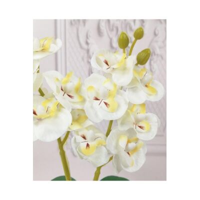 Pileli Etek Saksılı Beyaz Mini Beton Saksılı Yapay Orkide