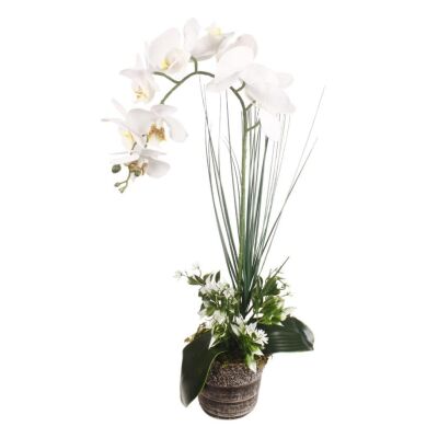 Yapay Çiçek Orkide Seramik Saksıda Beyaz Islak Orkide