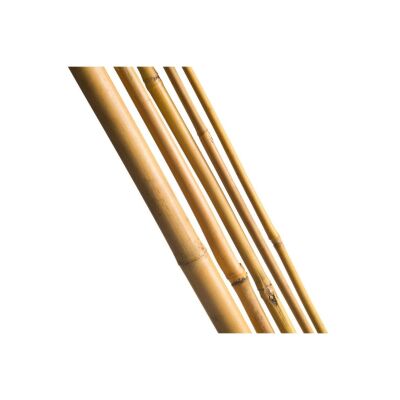 Bambu Sopası 240 Cm 18-20Mm Bambu Çubuğu 5 Adet