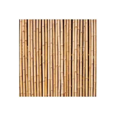 Bambu Sopası 210 Cm 19-20Mm Bambu Çubuğu 5 Adet