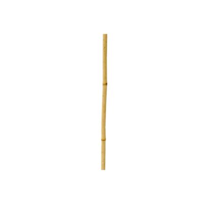 Bambu Sopası 150 Cm 16 -18Mm Bambu Çubuğu 5 Adet