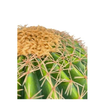 Yapay Çiçek Echinocactus Grusonii Altın Fıçı Kaktüs Siyah Saksıda 50*35Cm Cactüs Sk4011S