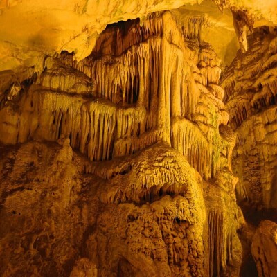 Günübirlik İğneada, Dupnisa Mağarası ve Longoz Ormanları Turu