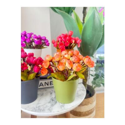 4Lü Set Yapay Çiçek Fındık Gül Renkli Saksıda Gerçekçi Doku Karışık Renkli