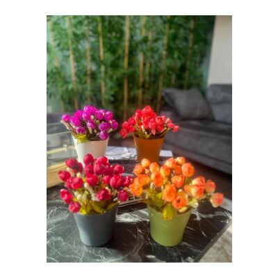 4Lü Set Yapay Çiçek Fındık Gül Renkli Saksıda Gerçekçi Doku Karışık Renkli
