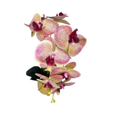 Yapay Çiçek Pembe Çilli Islak Orkide Gold Metal Saksıda Seramik Saksıda Orkide 60Cm