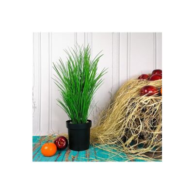 Yapay Çiçek Grass Siyah Saksıda Yeşil Çimen Saz 65Cm