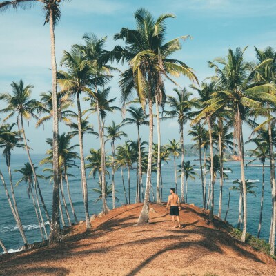 Ara Tatilde 5 Gece 6 Gün Vizesiz Sri Lanka Turu