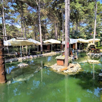 Park of İstanbul Restaurant'da Enfes Yemek Menüsü