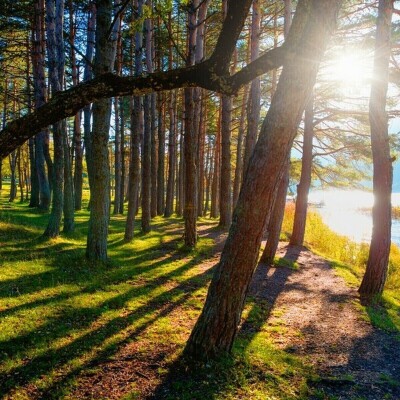 İzmir Çıkışlı Şile, Ağva, Abant, Ormanya, Maşukiye ve Yedigöller Turu