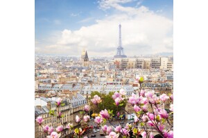 Sömestr Özel THY İle 4 Gün Paris Turu