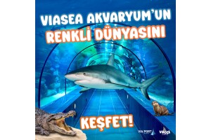 Viasea Akvaryum Giriş Bileti
